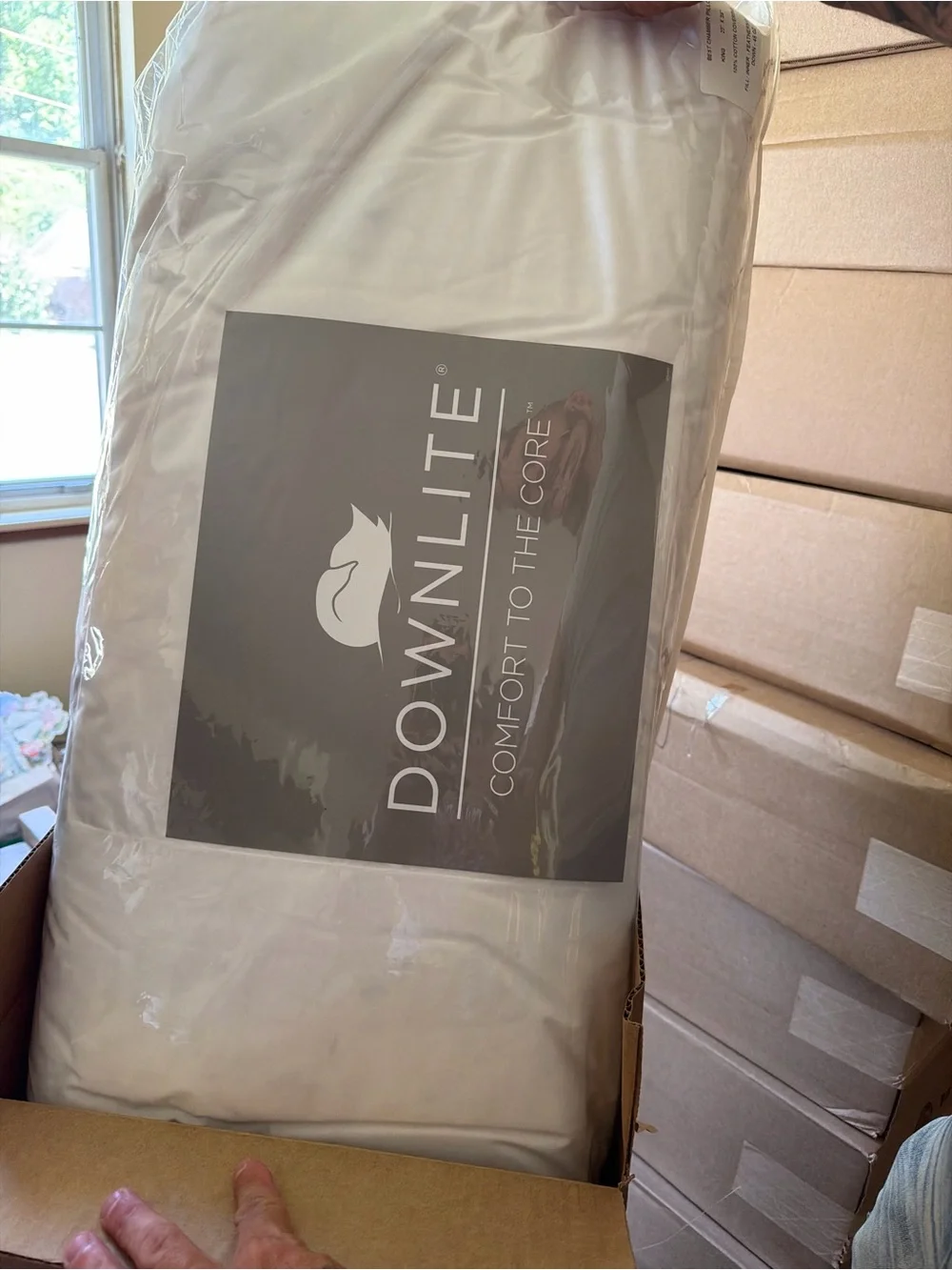 Hotel Collection White Pillow Protector - Downlite Comfort ($20.00)